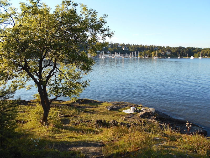 Bærum Natur- og Friluftsråd - årsmøte