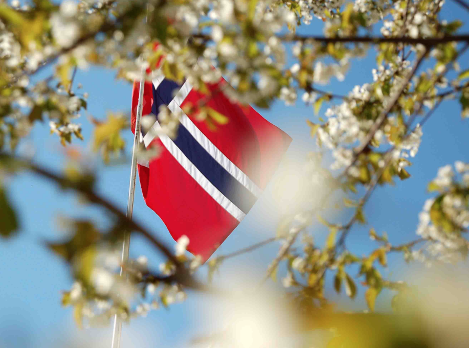 17. mai i Sandvika 2020