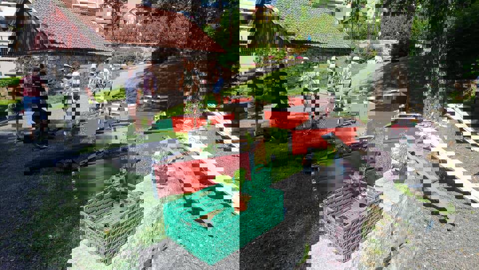 Urbant landbruk i Sandvika sentrum