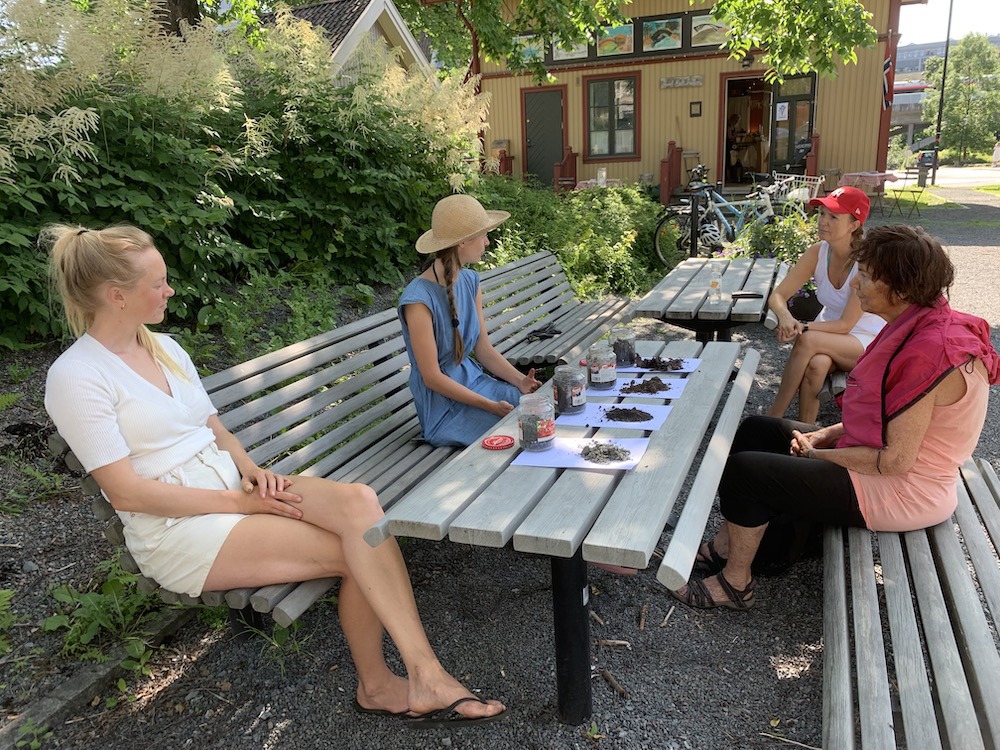 Nytt om "Spiselige Sandvika"