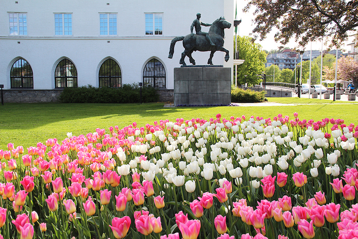 Hvem var denne... Arnold Haukeland?