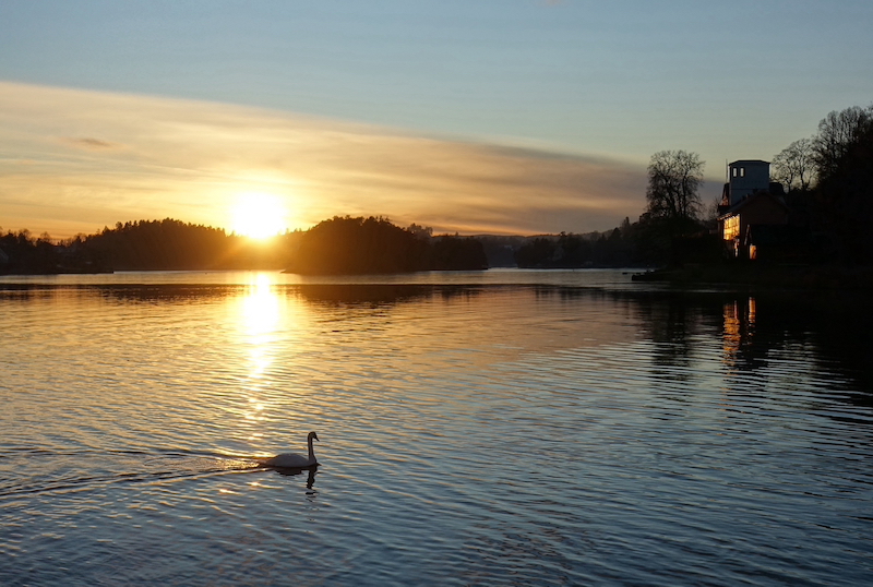 Sandvika Vel årsmøte 