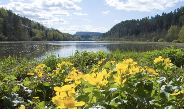 Engervannet - en del av Sandvika Central Park